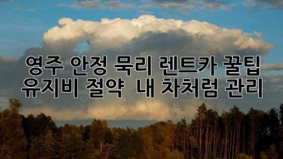 영주 안정 묵리 렌트카 꿀팁🍯: 유지비 절약 & 내 차처럼 관리!