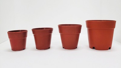 플분 솔직 후기! ✨ 써보니 진짜 좋네? (할인 정보 포함!)